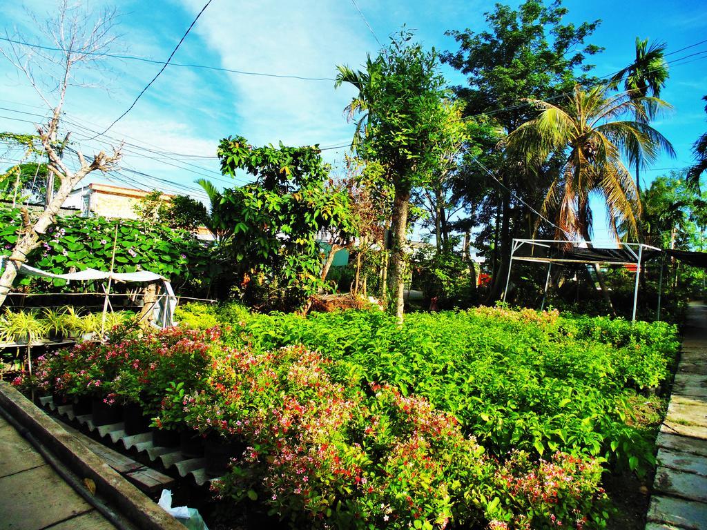 Flower & Frog Homestay Sa Dec Екстер'єр фото