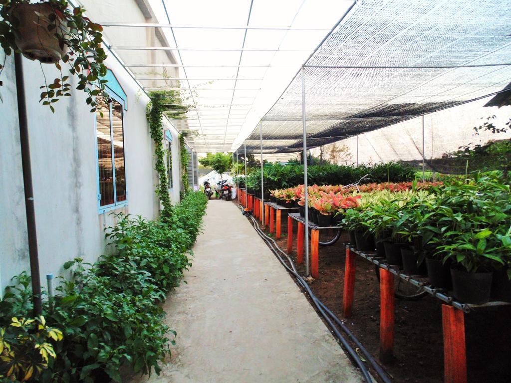 Flower & Frog Homestay Sa Dec Екстер'єр фото